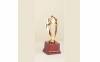 Trophy-T-1S-200